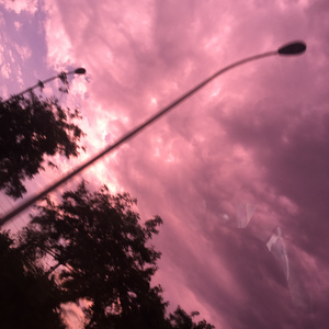 免费毛片三级片
