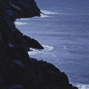 免费毛片三级片
