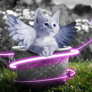 免费毛片三级片
