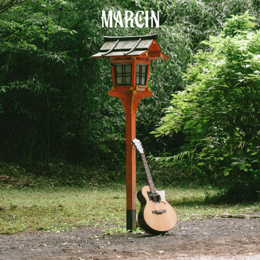 免费毛片三级片
